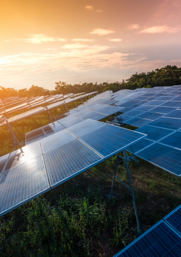 photovoltaic panels