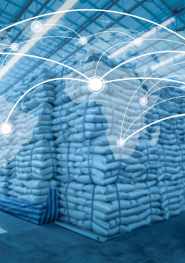 Global network coverage world for Distribution of goods in warehouse process for Logistic Import