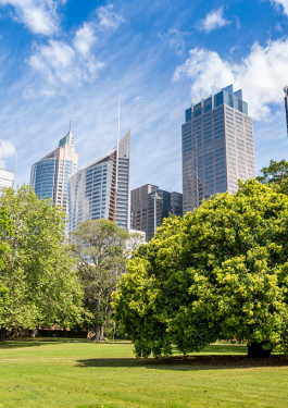 Buildings and trees